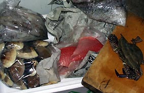 鎌倉の魚介類